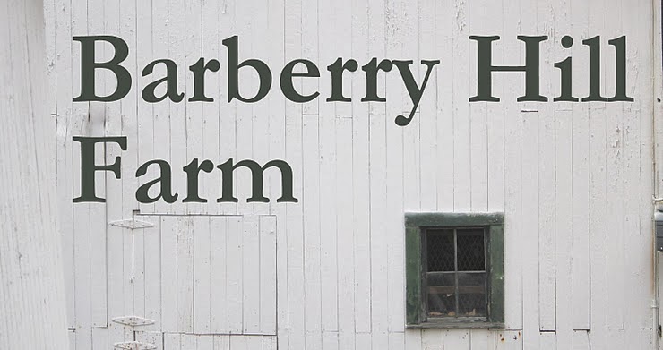 Barberry Hill Farm