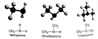  Methylamine,dimethylamine,trimethylamine