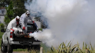 Fumigarán contra los moscos municipios de Sonora tras el paso de la tormenta tropical "Lorena" 