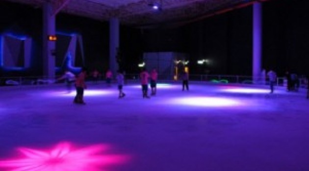 Sub Zero Ice Skate Club