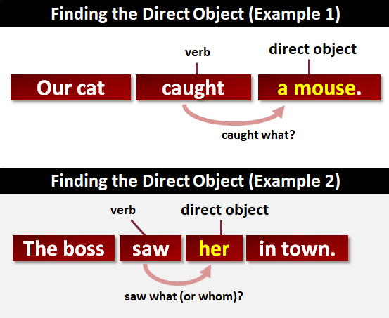 direct object essay examples