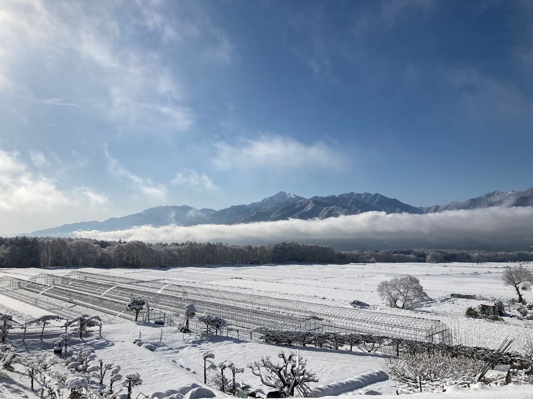 雪の高原