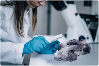 job role as a forensic scientist
