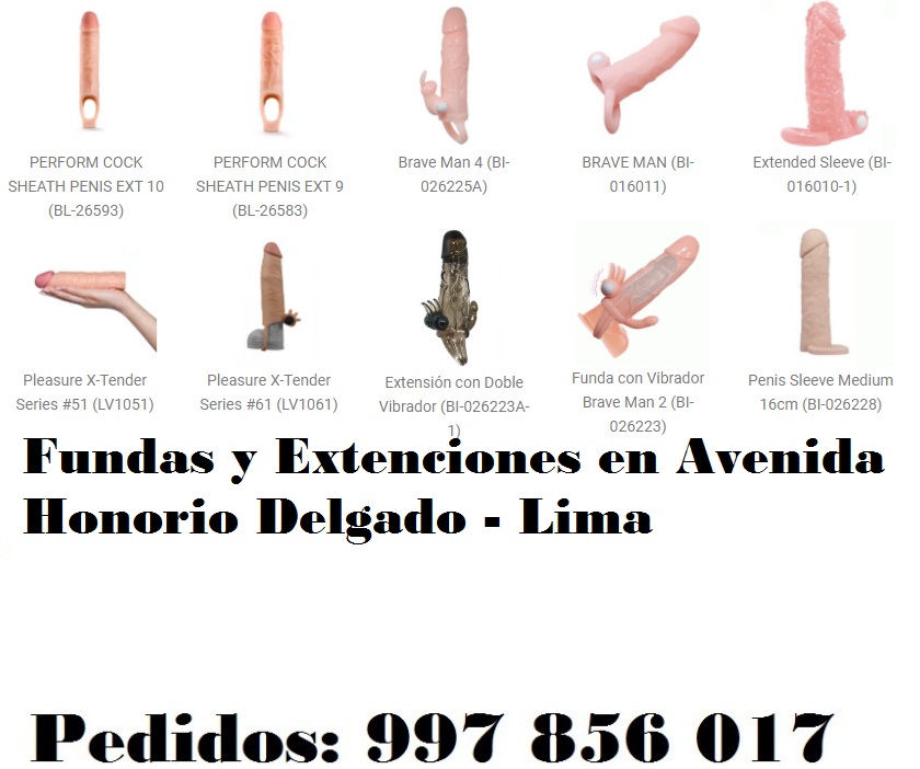 en Avenida Honorio Delgado - Lima