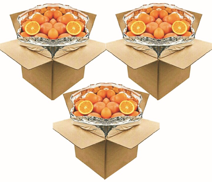 Fresh Oranges and Grapefruits Gift Boxes - Capital City Fruit: Grocery Gifts