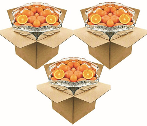 Fresh Oranges and Grapefruits Gift Boxes - Capital City Fruit: Grocery Gifts
