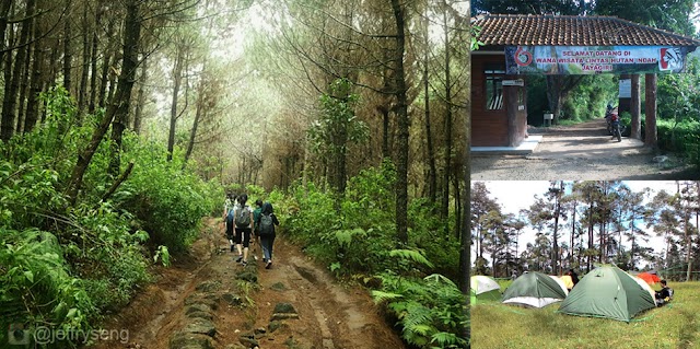 Wana Wisata Jayagiri, Tempat Berkemah dan Hiking ke Gunung Tangkuban Parahu
