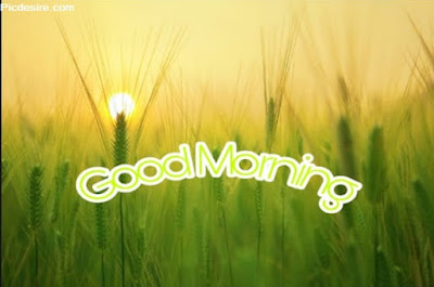 These Best 99+ Good Morning Images will make your day These Best 99+ Good Morning Images will make your day
