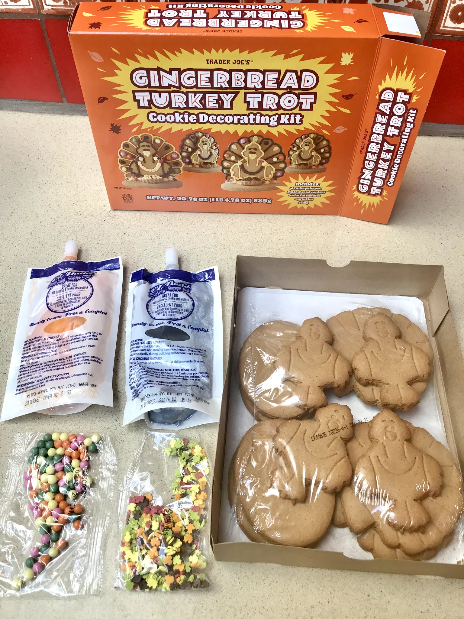 Sunny's Laboratory Gingerbread Turkey Trot