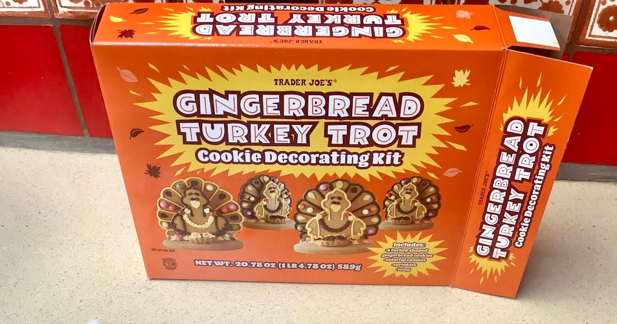 Sunny's Laboratory Gingerbread Turkey Trot