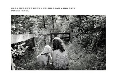 Cara Merawat Hewan Peliharaan Yang Baik Disekitarmu Cara Merawat Hewan Peliharaan.