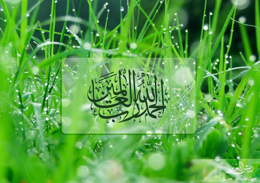 Real Right Path Alhamdulillah Beautiful Wallpaper In Green Color real-right-path-alhamdulillah-beautiful-wallpaper-in-green-color