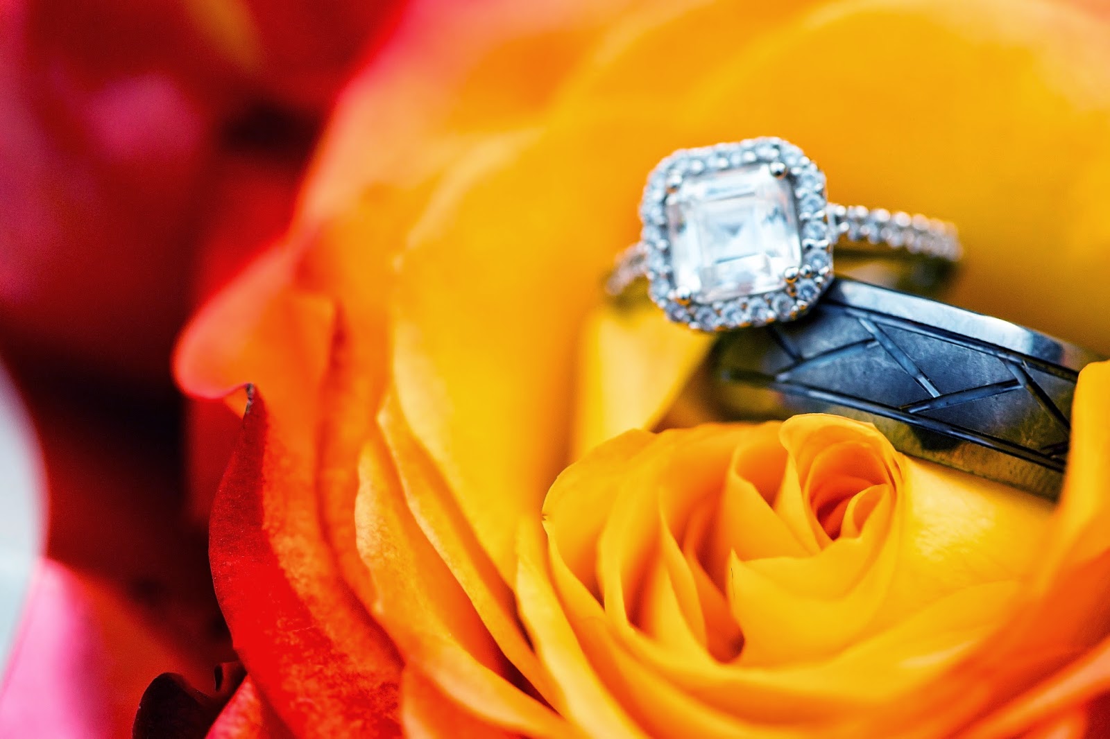 Love Blooms Wedding & Event Design