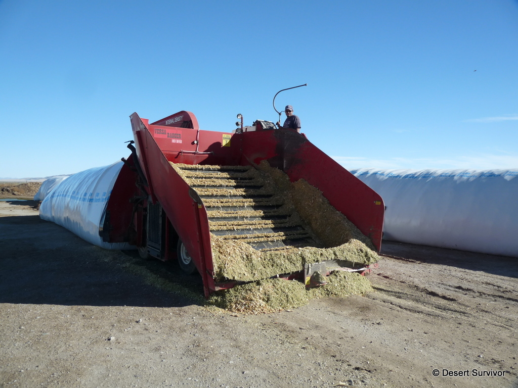 Desert Survivor Bagging Silage