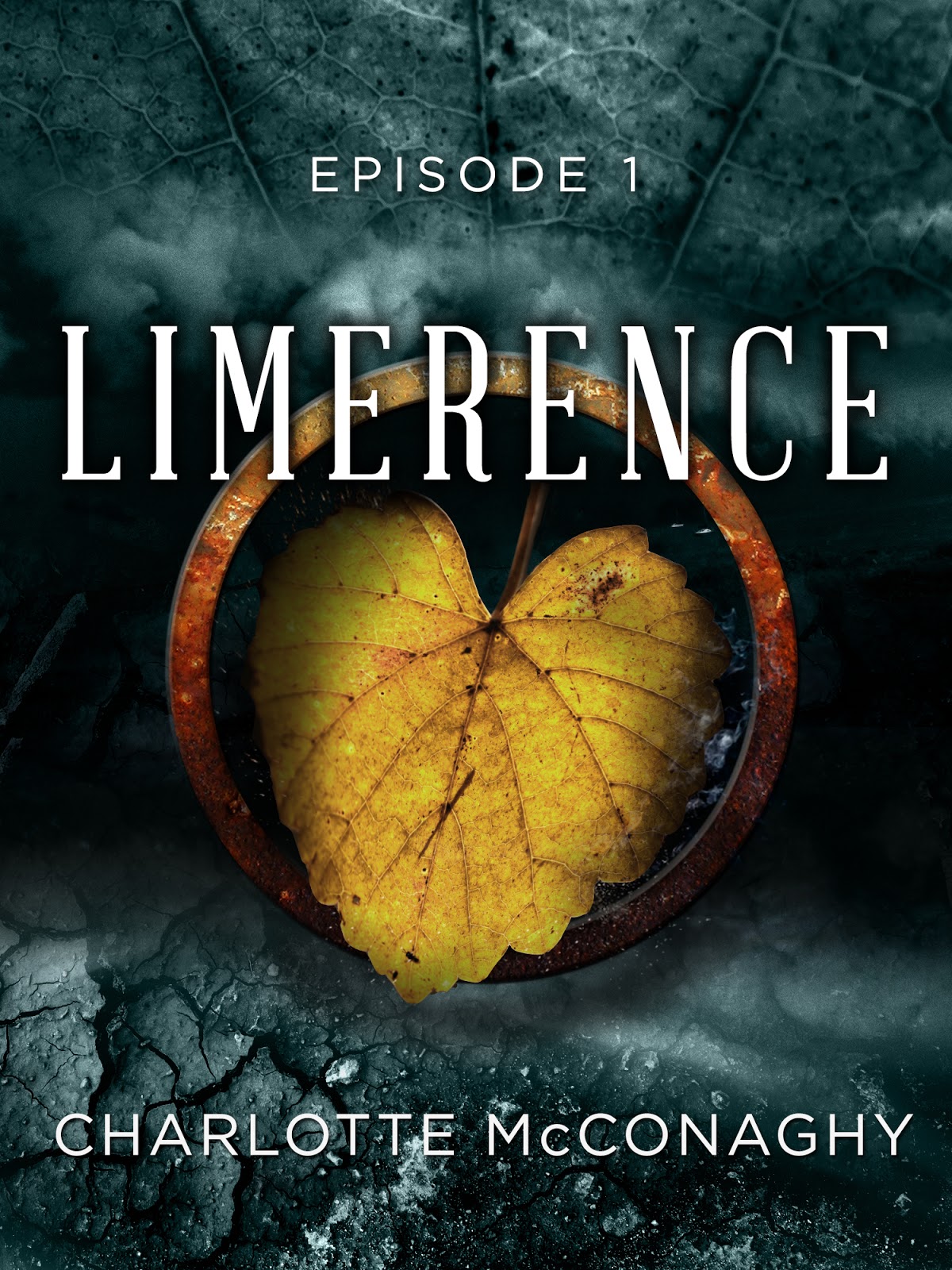 Urban Fantasy Investigations Promo + Giveaway Limerence by Charlotte