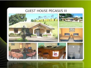 Guest House Pegasus 3