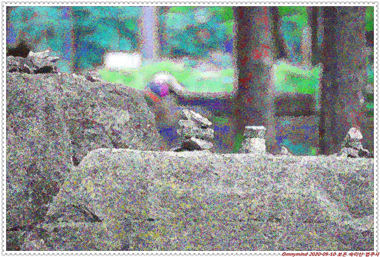 속리산 법주사 속리산 법주사