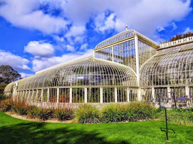 Dublin Hidden Gems: Victorian-era Greenhouse in National Botanic Gardens