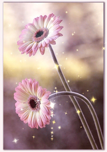 Flower%2BAnimation.gif