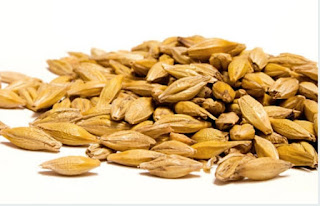 Barley health benefits in hindi