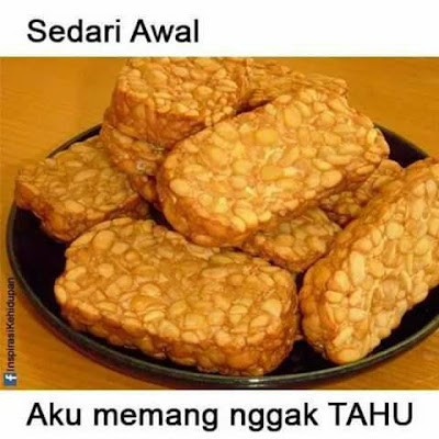 Sedari Awal, Aku Memang Ngga Tahu Sedari Awal, Aku Memang Ngga Tahu