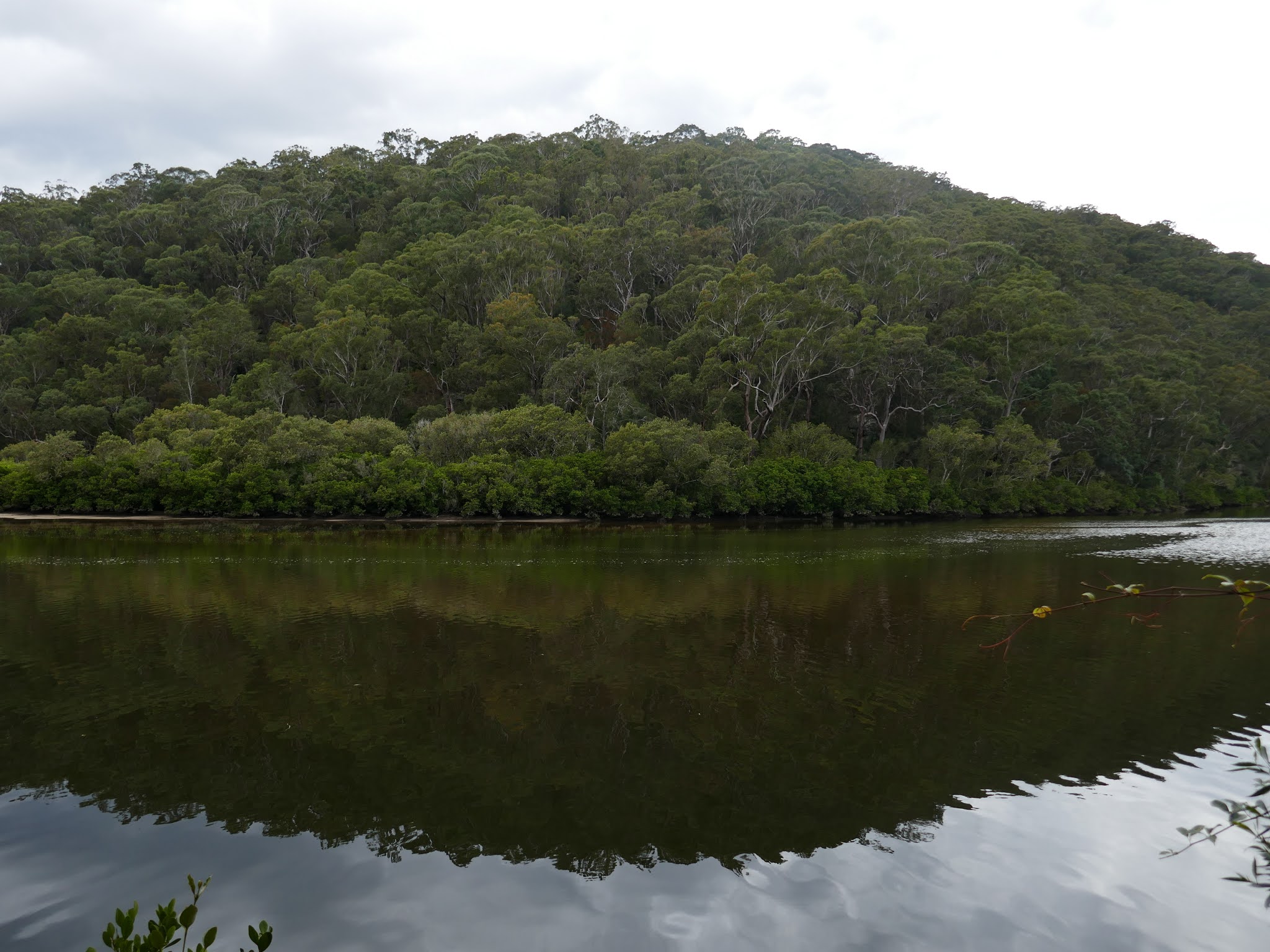 All The Gear But No Idea Cockle Creek & Cowan Water The Gibberagong