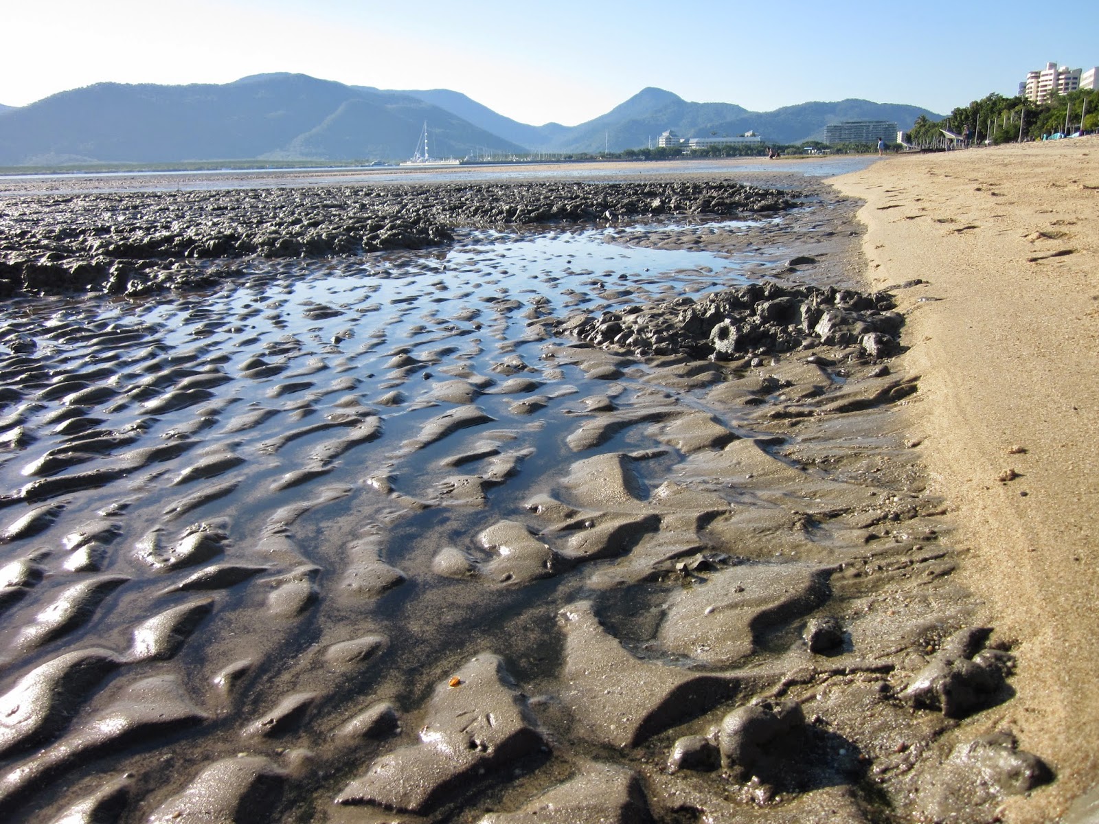 Geology & Other Excuses To Play With Rocks: Ripple Marks at Cairns ...