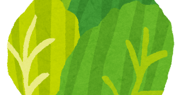 鳥貴族でキャベツばかり食べてる