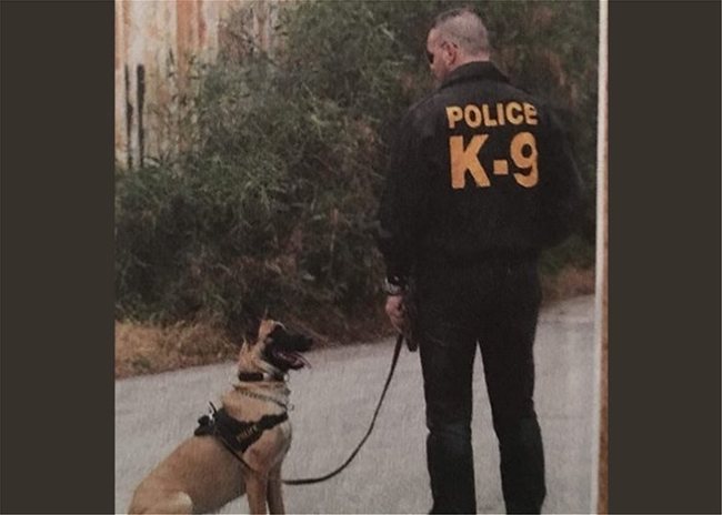 Η ΕΛ.ΑΣ. αποχαιρετά τον αστυνομικό σκύλο της Κ9 ANUK: «Δεν θα σε ξεχάσουμε»