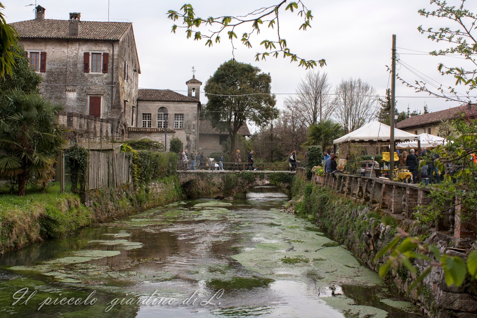 Il piccolo giardino di L.: