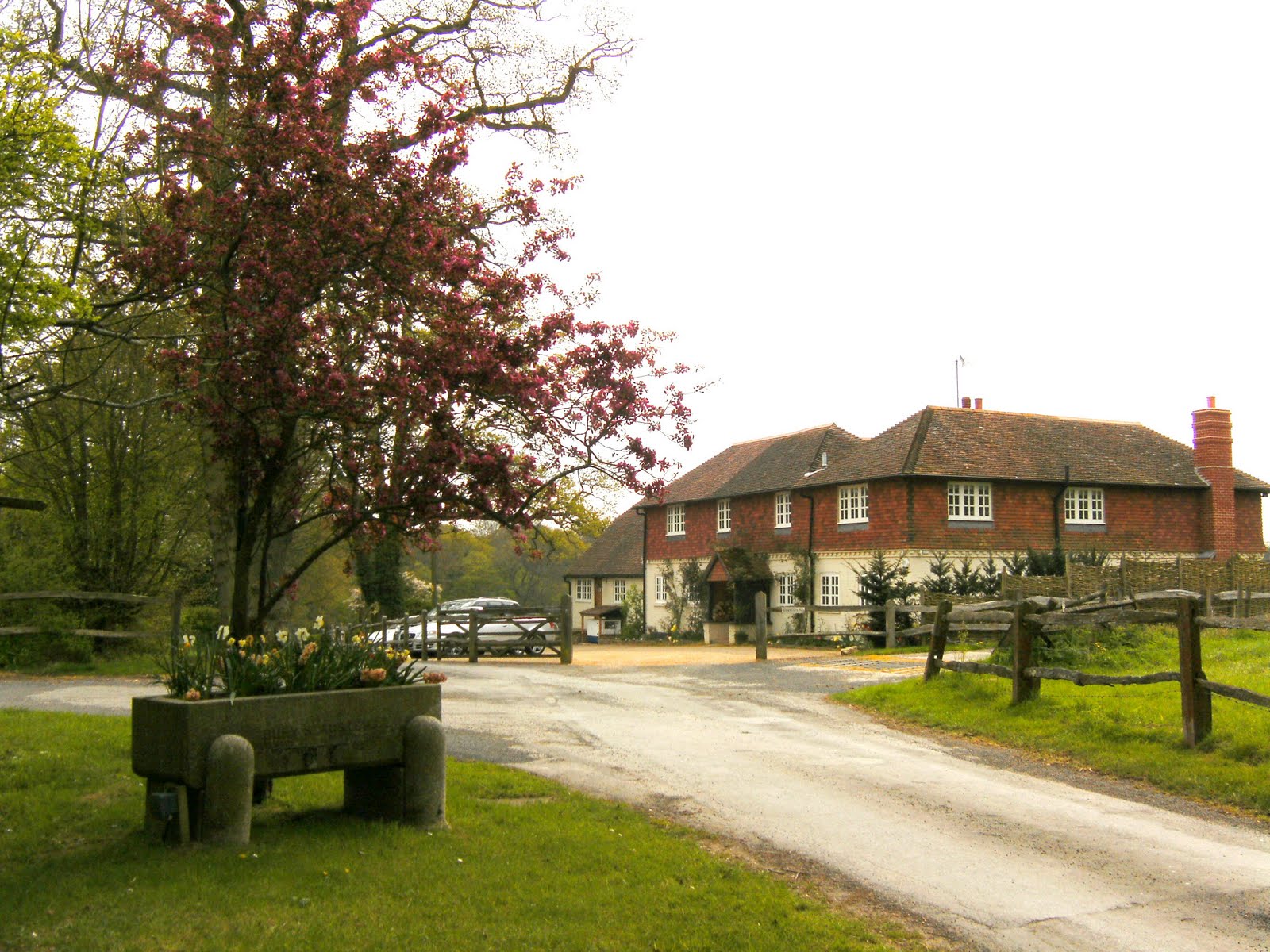 Sussex Border Path Stage 15 Honeywood House, Rowhook to Cooks Hill