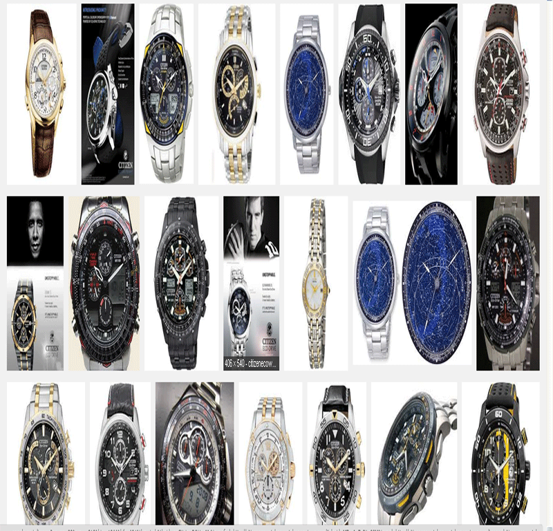citizen Ashok Watch Company