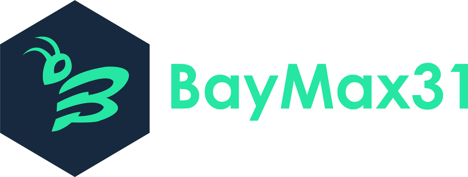 BayMax31