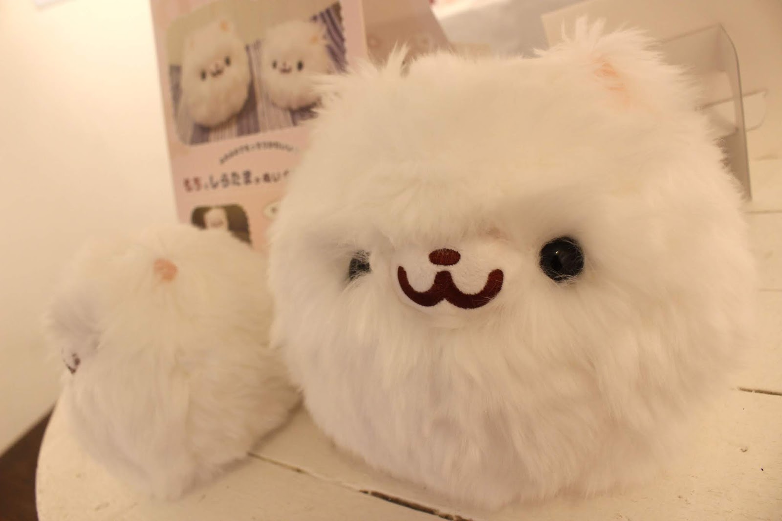 Design Festa Gallery Blog ポメラニアンもち ポメラニアンもち5周年展