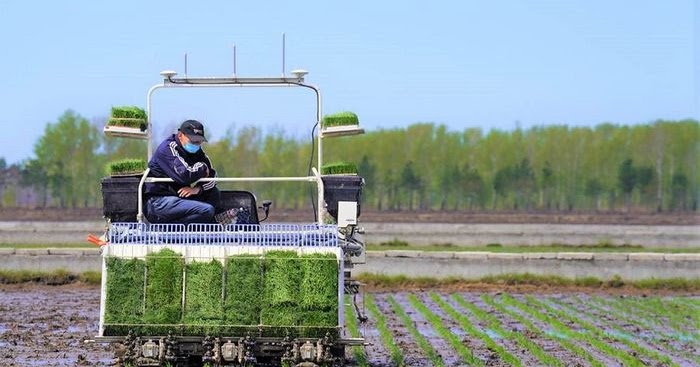 Contoh Penerapan Artificial Intelligence dan Cloud di