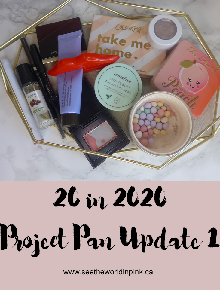 20 in 2020 Project Pan - Update #1