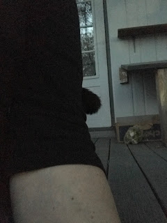 She wrapped her tail around my arm