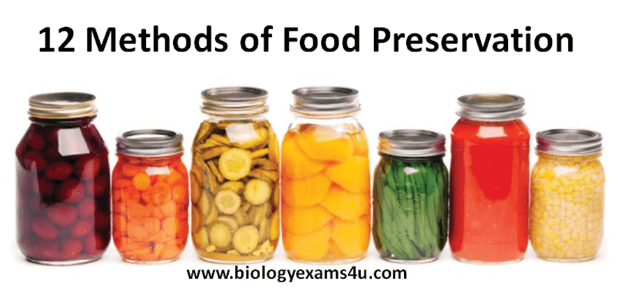 10 Methods of Food Preservation with Example