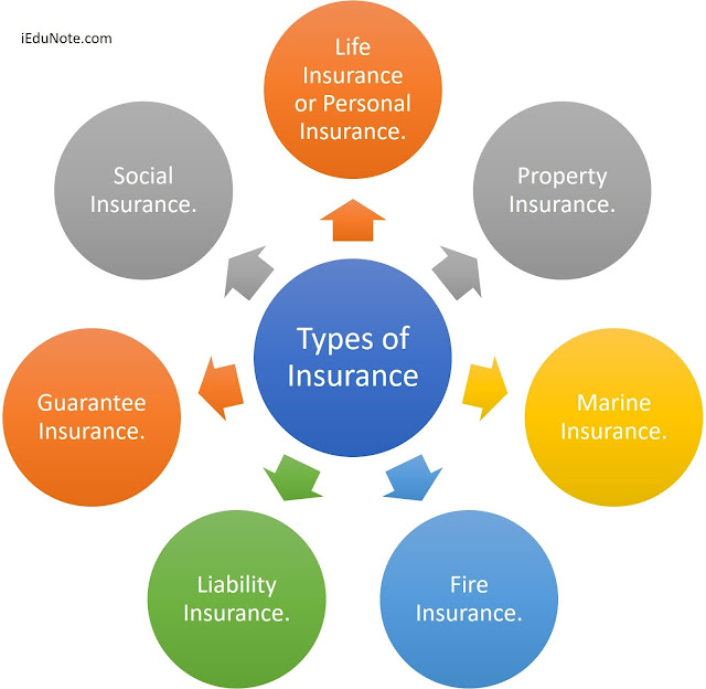 essay on types of insurance