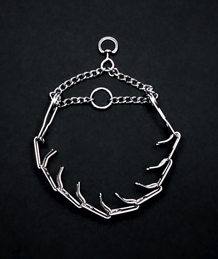 CanineVisions For A Healthy Dog CHOKE CHAIN vs PINCH/PRONG