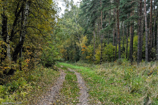 rudens Jelgavā