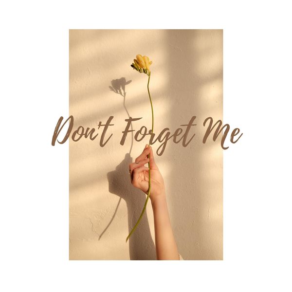 One Room Romance – Don’t forget me – Single