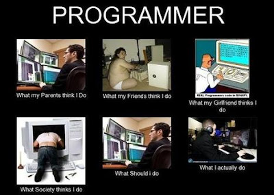 Software engineer's life
