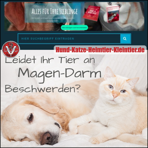 tierarzt24 Archive Hund Katze Heimtier Kleintier Haustier