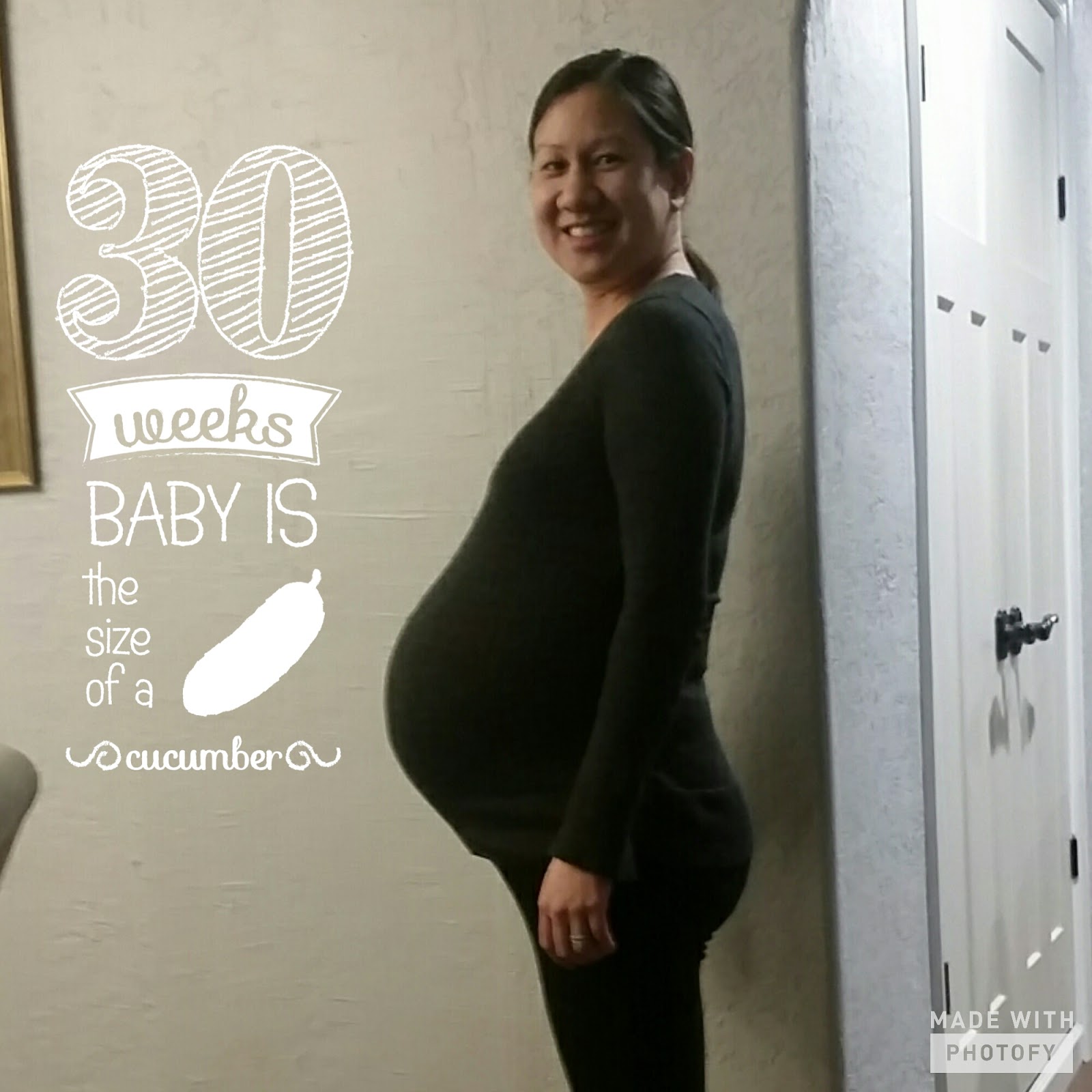 Will Write 4 Travel Pregnant with Twins Week 30
