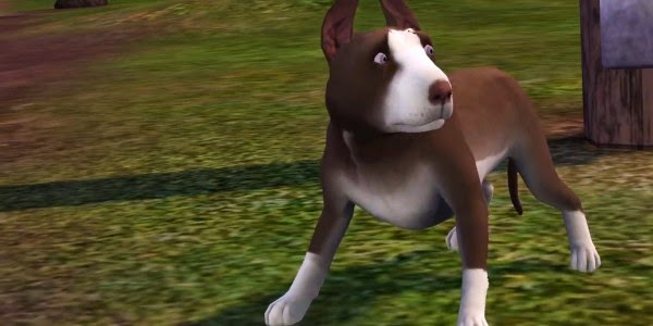 the sims pet stories torrent the sims pet stories torrent