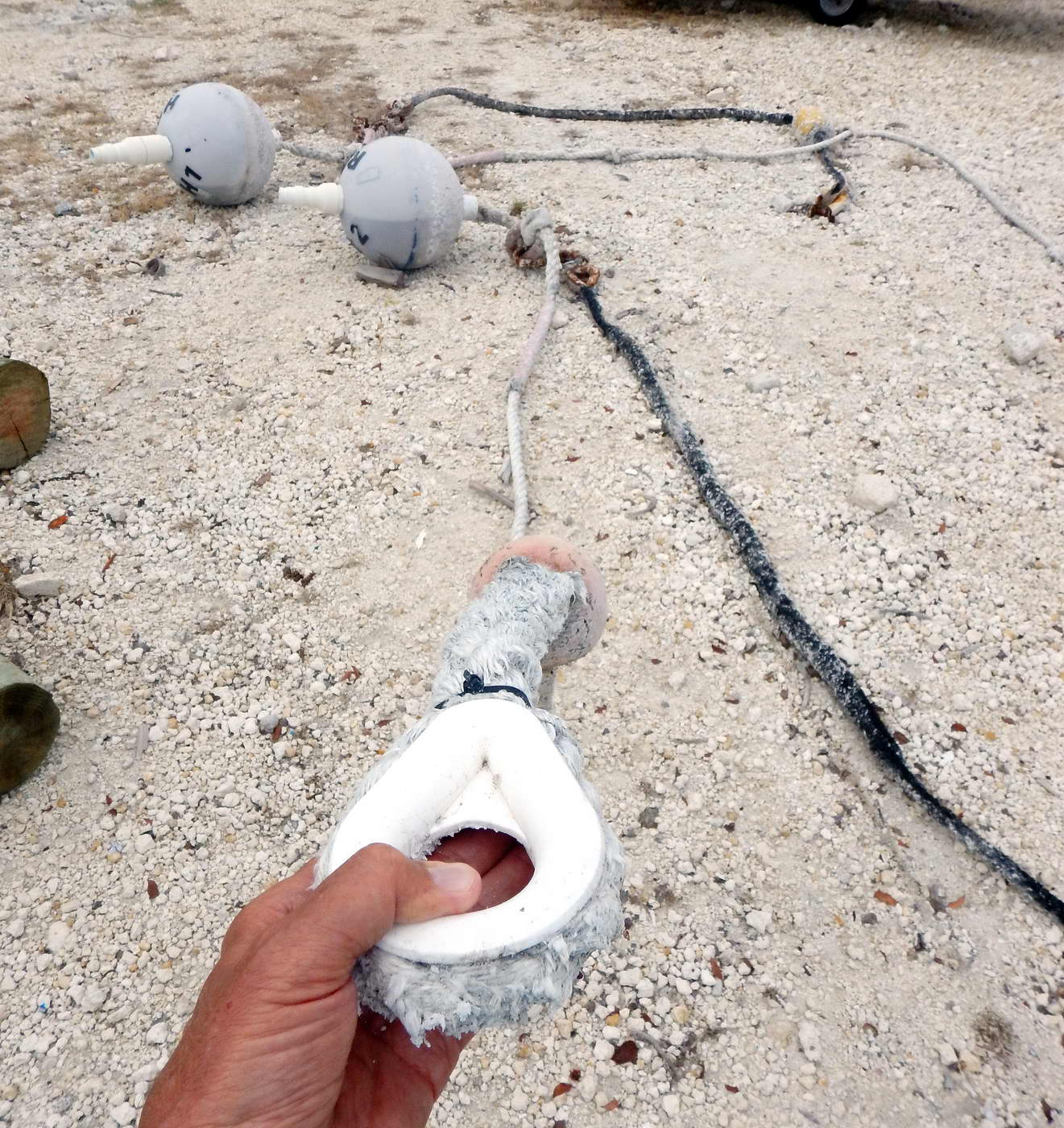 Life on s/v Prodigal What is a Mooring Ball?