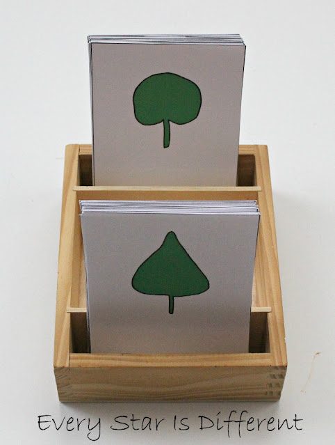 Leaf types nomenclature cards (free printable).