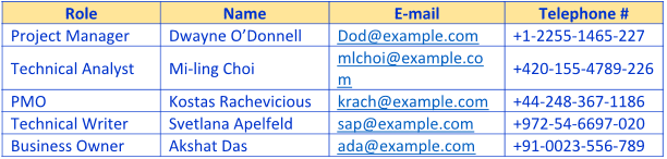 Business Case Analysis Team