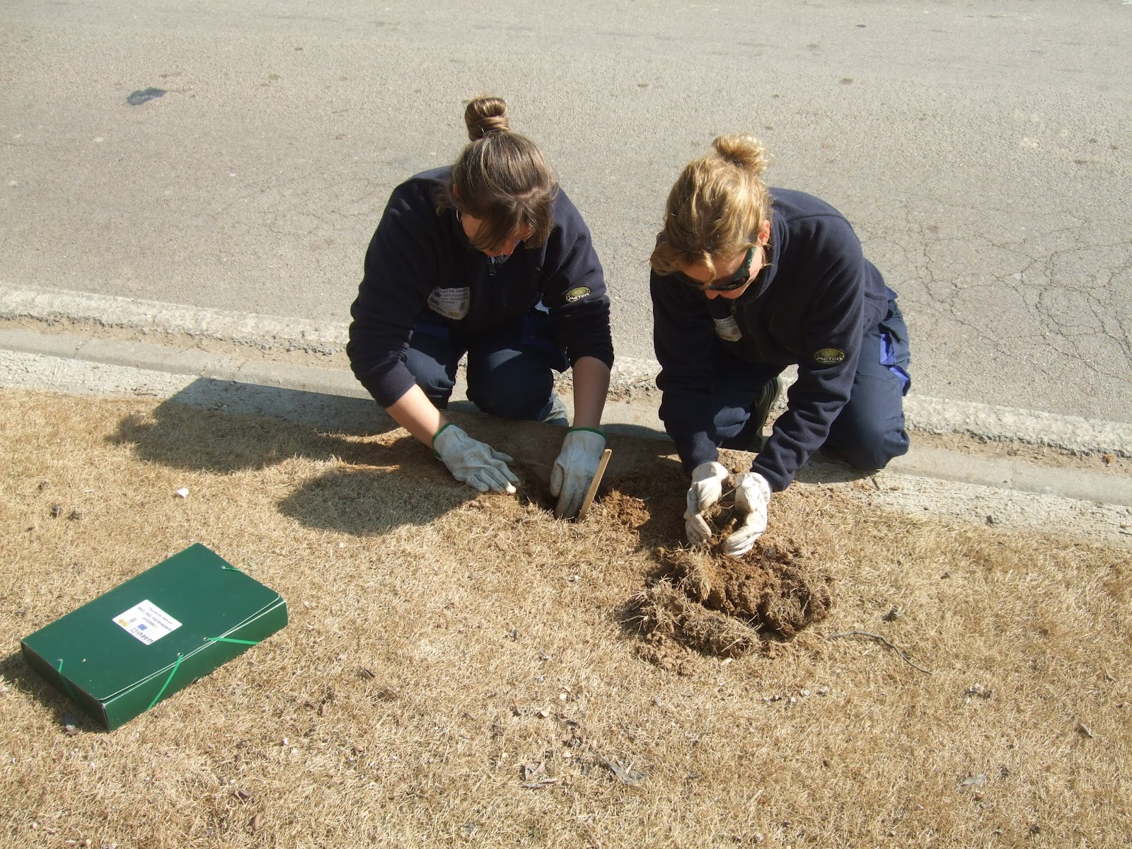 Ayerbe Taller de Empleo Jardineria: Riego por aspersión.